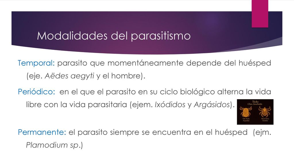 que es un parasito temporal